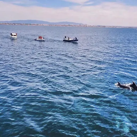 Σπίτι διακοπών Marina By Algarve Vacation Αλμπουφέιρα