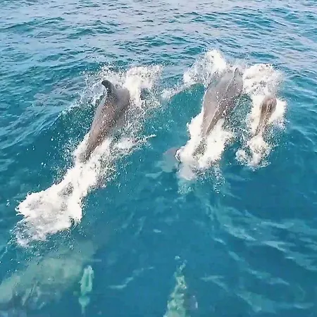 Marina By Algarve Vacation * Αλμπουφέιρα